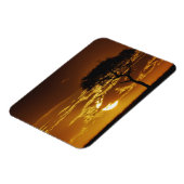 アカシア・トルティーリス・アンブレラサンザシ マグネット (左側)