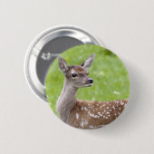 アカシカの子鹿のバッジ 缶バッジ (正面&裏面)