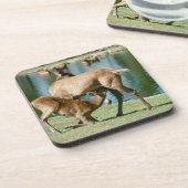 アカシカの看護の子孫 コースター (左側)