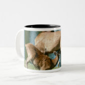 アカシカの看護の子孫 ツートーンマグカップ (正面左)