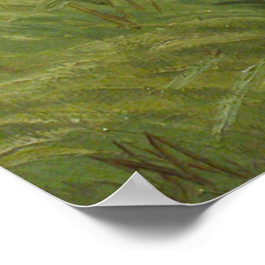 アカシカ絵画病 ポスター (角)