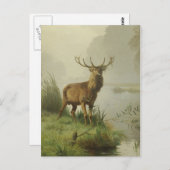 アカシカ絵画病 ポストカード (正面/裏面)