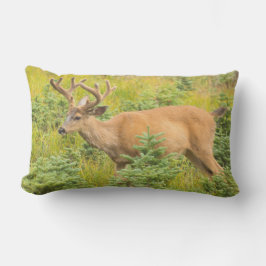 アカシカ アウトドアクッション