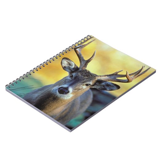 アカシカ |秋 ノートブック (左側)