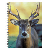 アカシカ |秋 ノートブック (正面)