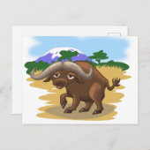 アカシヤバッファロー ポストカード (正面/裏面)