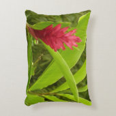 アカショウガの花（アルピニア）熱帯産 アクセントクッション (正面(垂直))