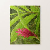 アカショウガの花(アルピニア)熱帯産 ジグソーパズル (縦)