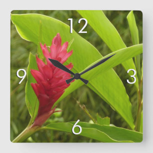アカショウガの花(アルピニア)熱帯産 スクエア壁時計