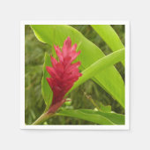 アカショウガの花（アルピニア）熱帯産 スタンダードカクテルナプキン (正面)