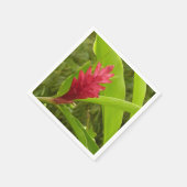 アカショウガの花（アルピニア）熱帯産 スタンダードカクテルナプキン (角)