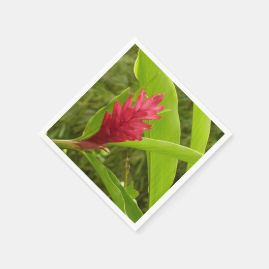 アカショウガの花(アルピニア)熱帯産 スタンダードカクテルナプキン (角)