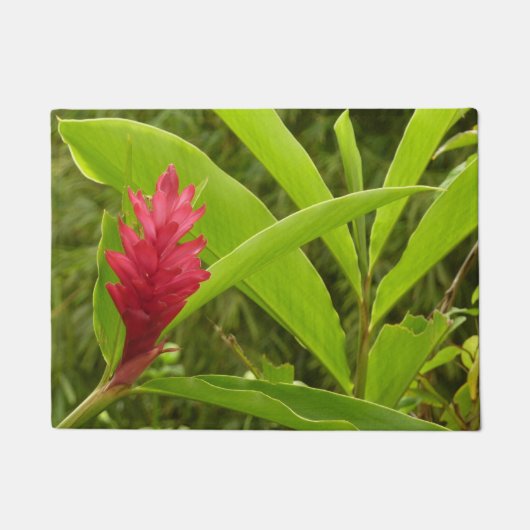 アカショウガの花(アルピニア)熱帯産 ドアマット (正面)