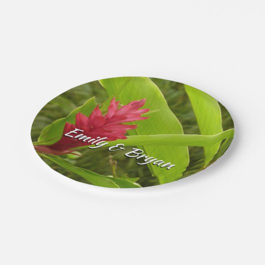 アカショウガの花(アルピニア)熱帯産 ペーパープレート (アングル)