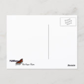 アカショウガの花（アルピニア）熱帯産 ポストカード (裏面)