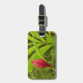 アカショウガの花（アルピニア）熱帯産 ラゲッジタグ (正面縦)