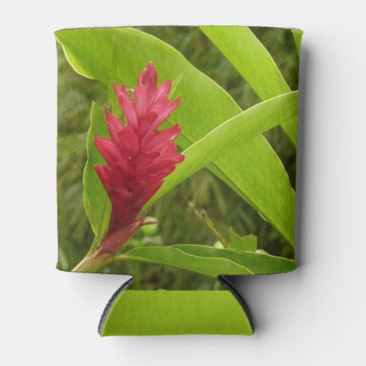 アカショウガの花(アルピニア)熱帯産 缶クーラー (正面)