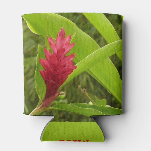 アカショウガの花(アルピニア)熱帯産 缶クーラー (裏面)