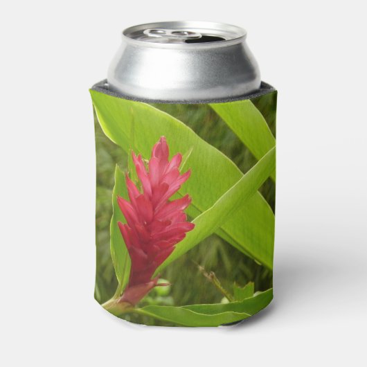 アカショウガの花(アルピニア)熱帯産 缶クーラー (缶裏面)