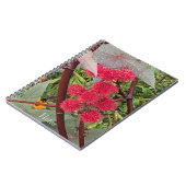 アカシ豆の種子ポッド ノートブック (左側)