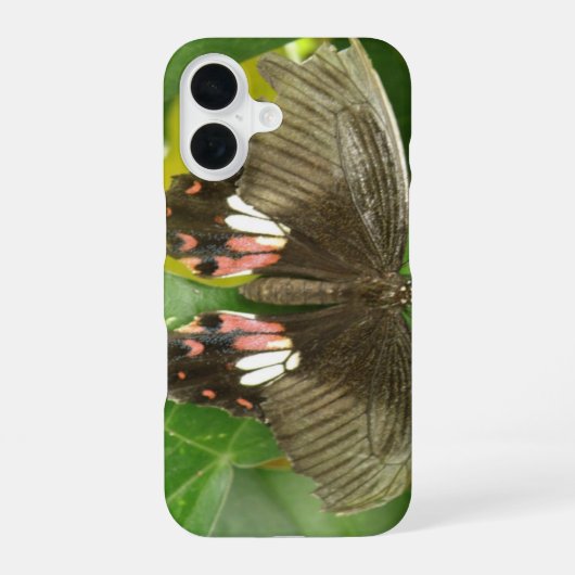 アカスイカズラチョウ iPhone 16ケース (裏面)