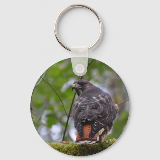 アカタカ キーホルダー (正面)