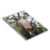 アカタカ ノートブック (右側)