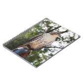 アカタカ ノートブック (左側)