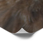 アカタカ ポスター (角)