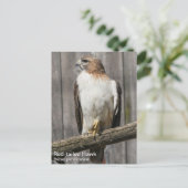 アカタカ ポストカード (スタンド正面)