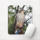 アカタカ マウスパッド (マウス)