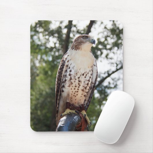 アカタカ マウスパッド (マウス)