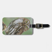 アカチャバラフクロウ, Glaucidium brasilianum, 3 ラゲッジタグ (正面横)