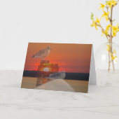 アカツク Sunset カード (黄色い花)