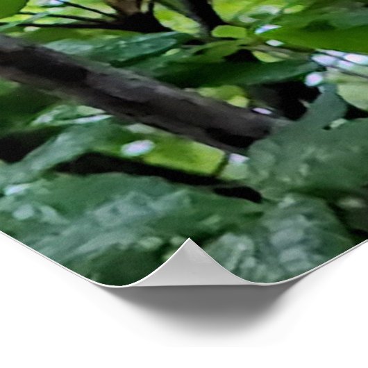 アカツツツジの花 ポスター (角)