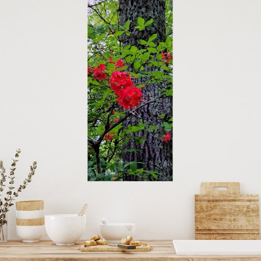 アカツツツジの花 ポスター (キッチン)