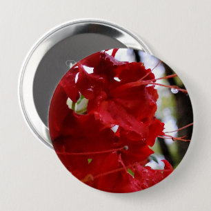 アカツツツジの花 缶バッジ