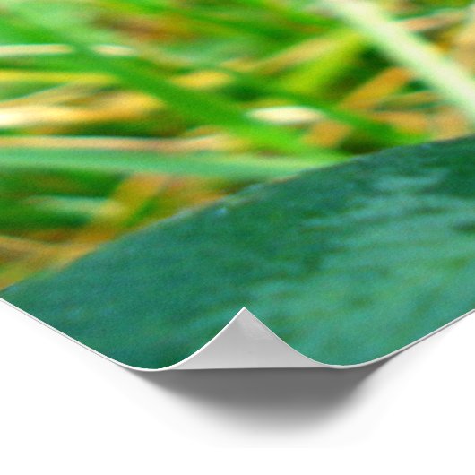 アカツメクサ ポスター (角)