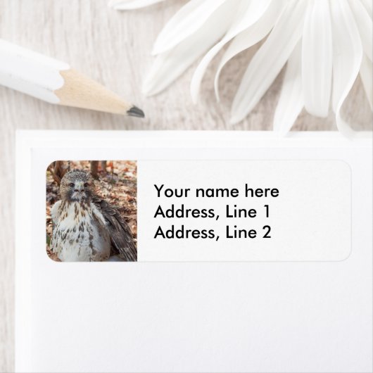 アカテールホーク ラベル (インサイチュ)