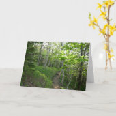 アカディアの森林トレイル カード (黄色い花)