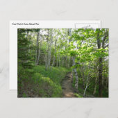 アカディアの森林トレイル ポストカード (正面/裏面)