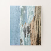 アカディアメイン海シーグルスオーバーサイズ ジグソーパズル (縦)