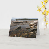 アカディア国立公園のワンダーランドでティデプール カード (黄色い花)