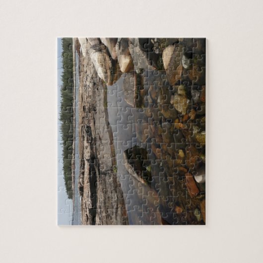 アカディア国立公園のワンダーランドでティデプール ジグソーパズル (縦)
