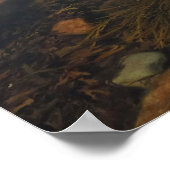 アカディア国立公園のワンダーランドでティデプール ポスター (角)