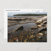 アカディア国立公園のワンダーランドでティデプール ポストカード (正面/裏面)