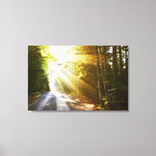 アカディア国立公園の森を太陽が照らす キャンバスプリント (正面)