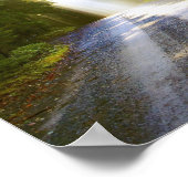 アカディア国立公園の森を太陽が照らす ポスター (角)