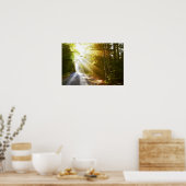 アカディア国立公園の森を太陽が照らす ポスター (キッチン)