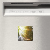 アカディア国立公園の森を太陽が照らす マグネット (インサイチュ (食洗機))